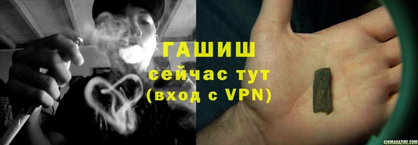 ГАЛЛЮЦИНОГЕННЫЕ ГРИБЫ Вязники