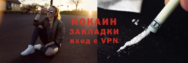 ГАЛЛЮЦИНОГЕННЫЕ ГРИБЫ Вязники