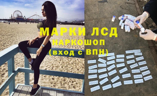 ГАЛЛЮЦИНОГЕННЫЕ ГРИБЫ Вязники