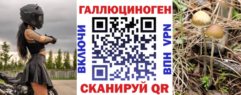 мега вход  Калязин  Псилоцибиновые грибы MAGIC MUSHROOMS 